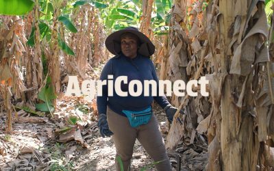 AgriConnect